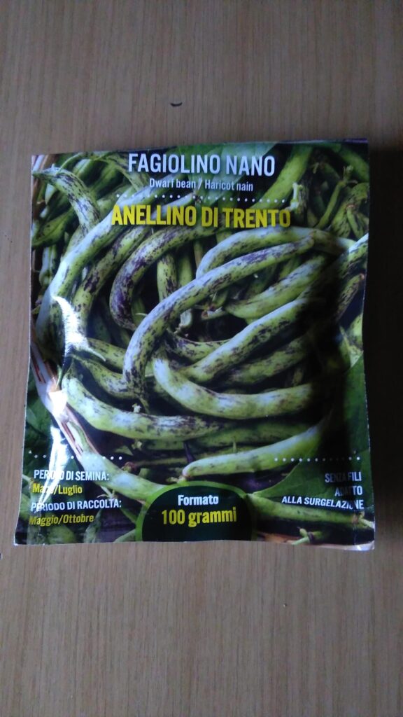 Busta di Fagiolino Nano Anellino di Trento